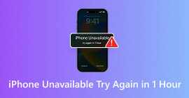Iphone Unavailable Try Again In 1 Hour