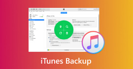 iTunes Backup