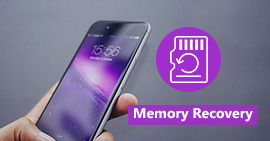 Software de Recuperação de Memória
