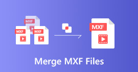 Mesclar arquivos MXF