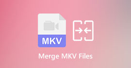 Combinar arquivos MKV