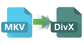 Converter MKV para DivX