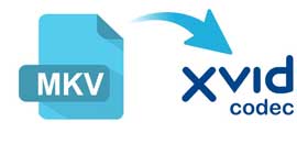 Como converter MKV para Xvid