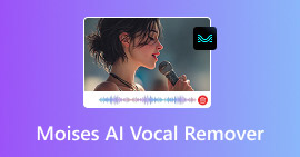 Removedor de Voz Moisés Ai