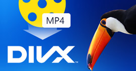 Como converter MP4 para DivX