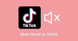 Silenciar som no TikTok