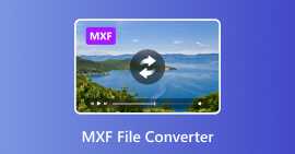 Converter Arquivo MXF