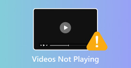 Meus vídeos não estão sendo reproduzidos