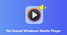 HDD não aparece no Windows