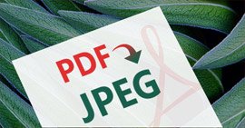 Conversor de PDF para JPG