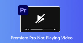 Premiere Pro não reproduz vídeo
