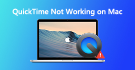 Consertar QuickTime não está funcionando no Mac