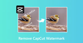 Remover marca d'água CapCut