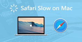 Safari Lento no Mac