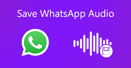 Salvar áudio do WhatsApp