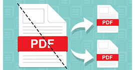 PDF dividido