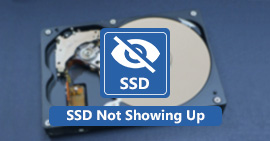 SSD não aparecendo