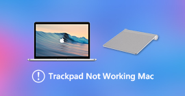 Trackpard não funciona Mac