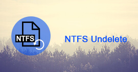 NTFS Undelete