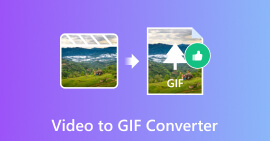 Conversor Video to GIF