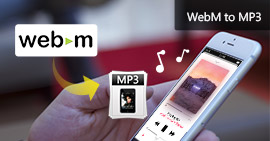 WebM para MP3