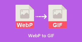WebP para GIF