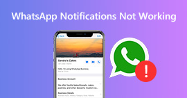 Notificação do WhatsApp não funciona