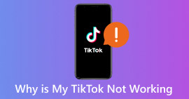 Por que meu TikTok não está funcionando