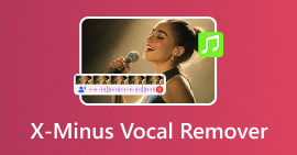 Removedor de Voz X Minus