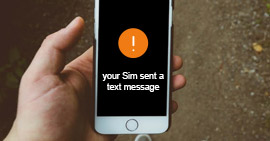 Seu Sim enviou uma mensagem de texto