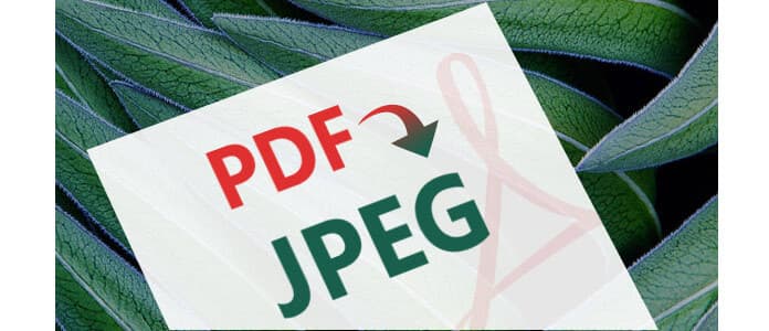 PDF para JPEG