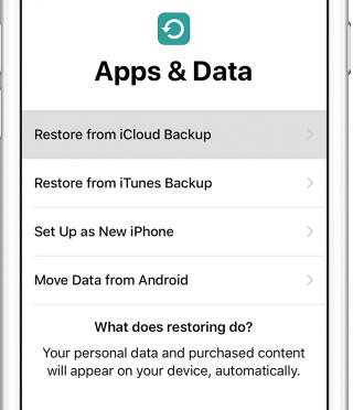 Restaure o iPhone do iCloud