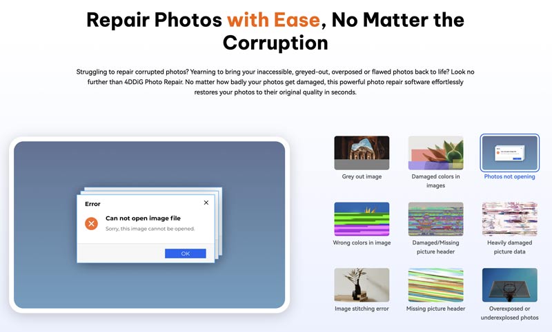 Problemas de corrupção no reparo de fotos 4ddig