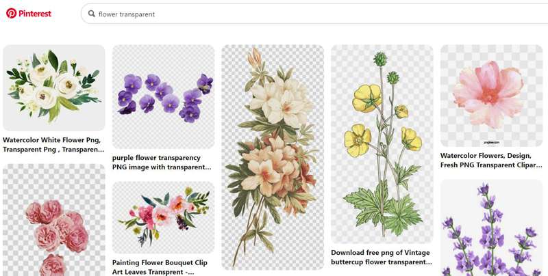 Fundo Transparente Flor Pinterest