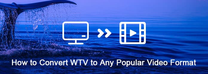 Converta WTV para qualquer formato de vídeo popular