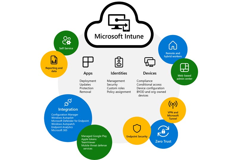 Software Microsoft Intune MDM