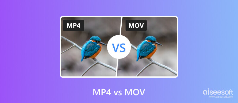 MP4 x MOV