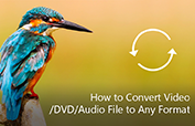 Como converter arquivos de vídeo/DVD/áudio para qualquer formato