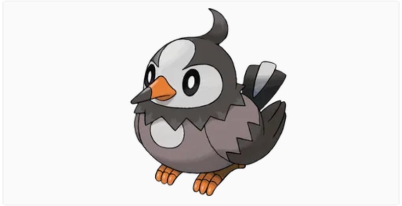 Starly Sinnoh Region