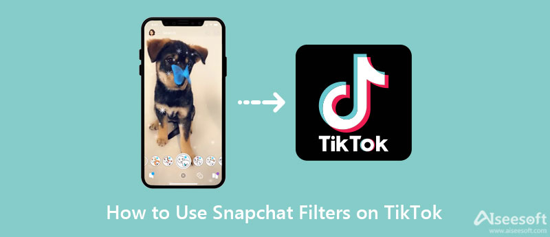 Use filtros do Snapchat no TikTok