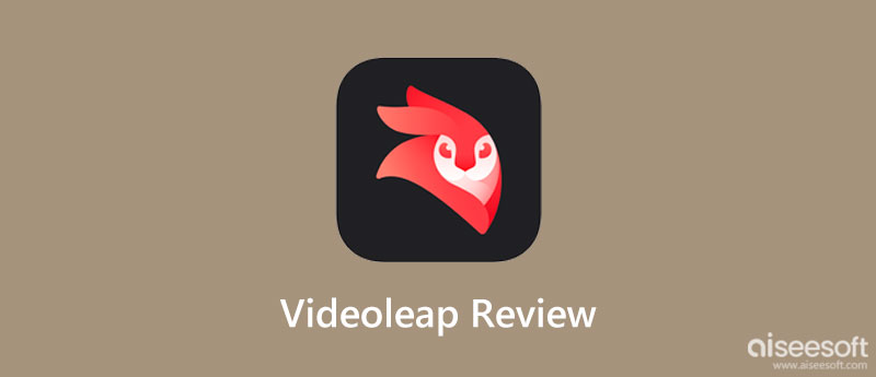 Avaliação do Videoleap