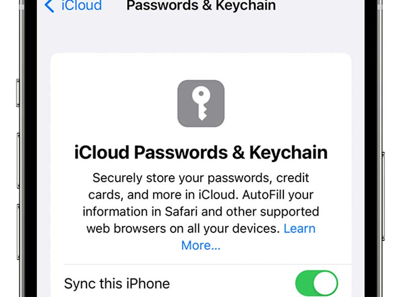 Chaveiro Apple ID iCloud