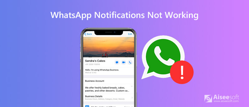 Notificação do Whatsapp não funciona