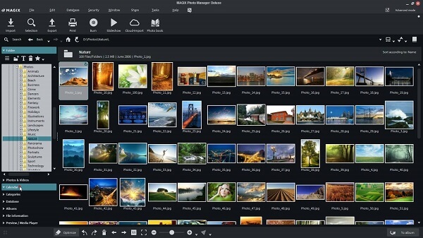 Magix gerenciador de fotos de luxo