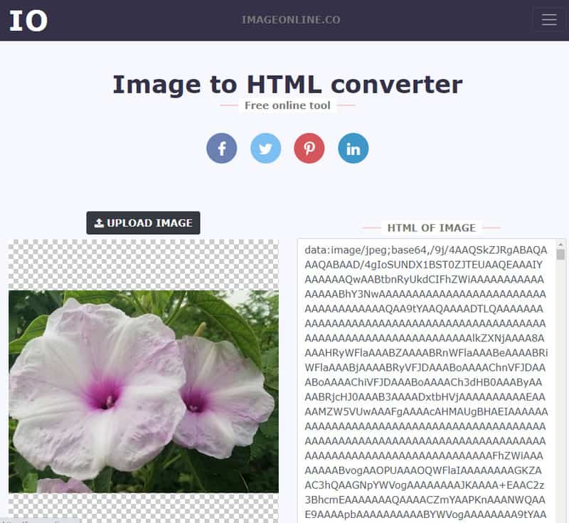 Imagem HTML Online Co.