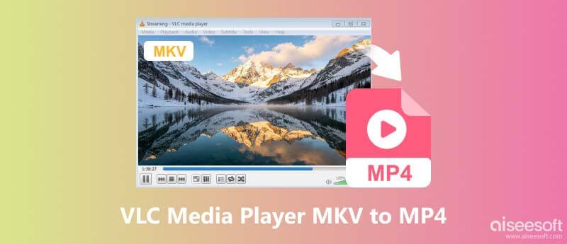 VLC Media Player MKV para MP4