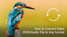 Converter arquivo de vídeo/DVD/áudio