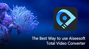 Use o Aiseesoft Total Video Converter